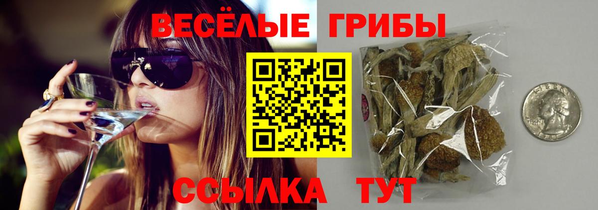 Псилоцибиновые грибы MAGIC MUSHROOMS Заинск